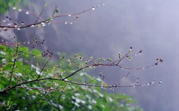 下水果雨了小班教案8篇