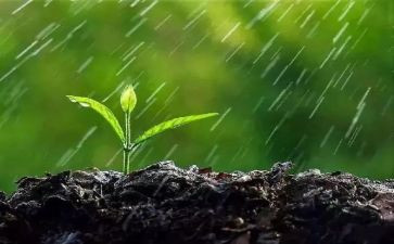 下水果雨了小班教案精选6篇