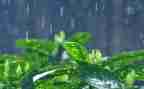 大班下雨啦教案7篇