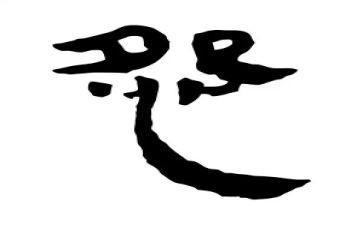 不抱怨的教师心得5篇