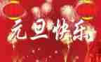 幼儿园元旦教案8篇