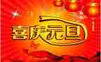 2023年幼儿园元旦节活动总结通用6篇