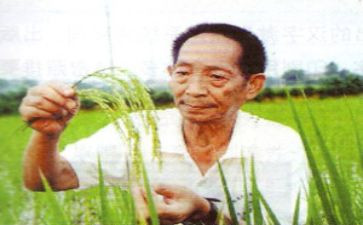 观看袁隆平事迹心得体会6篇