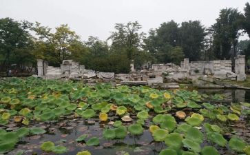 圆明园的毁毁灭读后感优质7篇