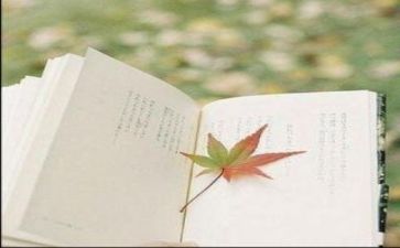 快阅读调查报告6篇