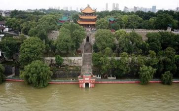 岳阳楼记教案8篇