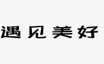 遇见作文400字8篇