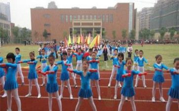 2024奥运会心得体会推荐6篇