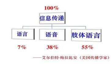 关于蛋的语言教案8篇