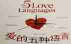 找尾巴语言教案7篇