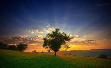 与众不同的笔作文最新5篇