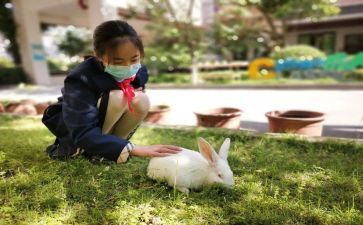 家长育子心得体会推荐8篇