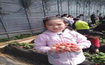 家长育子心得体会通用5篇