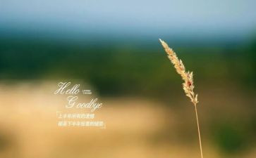 再见暑假作文400字8篇