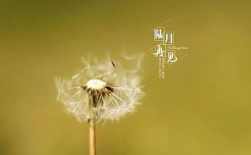 再见吧教案6篇