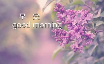 《早》读后感400字6篇