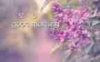 《早》读后感400字6篇