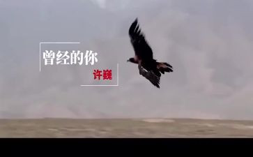 曾经的你作文600字5篇