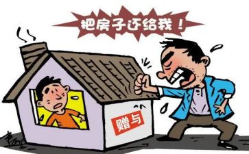 2024年赠与合同模板5篇