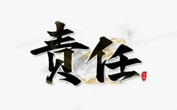 责任胜与能力读后感5篇