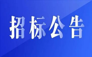 2024年招标办工作总结通用5篇