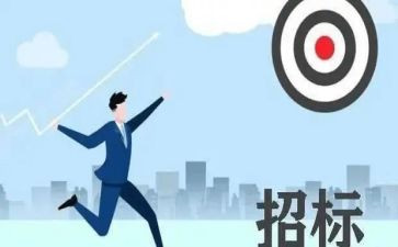 招标工作个人年终总结6篇