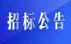 2024年招标办工作总结通用5篇