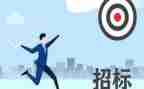 招标工作个人年终总结6篇