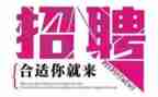 招聘的工作总结参考6篇