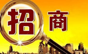 个人招商工作年度工作计划6篇