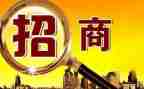 个人招商工作年度工作计划6篇