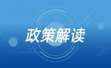 双减政策培训心得体会7篇