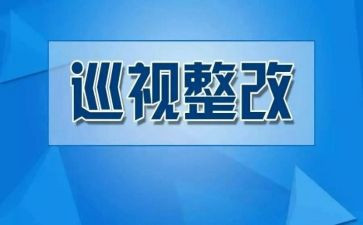 法治建设督察反馈问题整改报告5篇