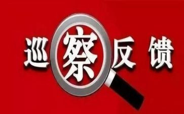 学校师德师风整改报告7篇
