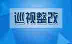 镇巡查整改报告5篇