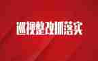 巡视整改领导班子对照材料8篇