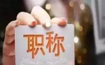 正高级教师的工作总结7篇