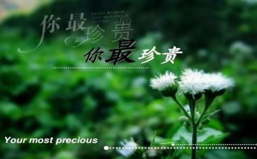 珍贵作文500字7篇
