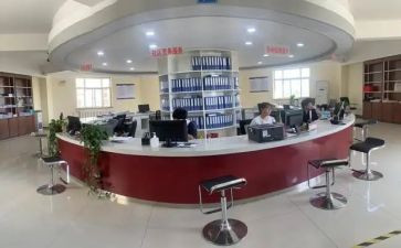 政务办工作总结报告8篇
