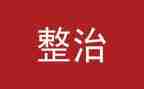 专项纪律整治活动总结5篇