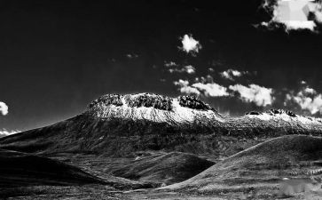 震撼我心灵的爱作文优质8篇