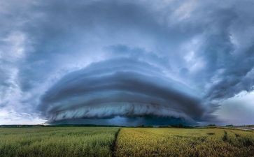 震撼我心灵的爱作文5篇