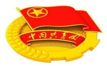 镇团委的个人总结5篇