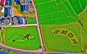 2024年乡村振兴总结报告6篇