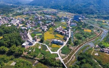 2024年县乡村振兴工作总结模板6篇