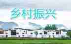 市乡村振兴调查报告6篇