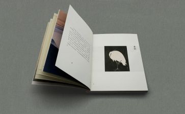 圆与缺的哲学作文7篇