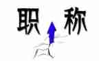 职称一级的教师个人总结8篇