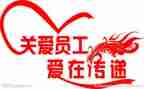 职工年终个人总结报告8篇