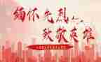 致敬英雄心得体会6篇